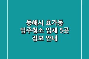 동해시 효가동 입주청소 업체 5곳 정보 안내
