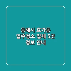 동해시 효가동 입주청소 업체 5곳 정보 안내