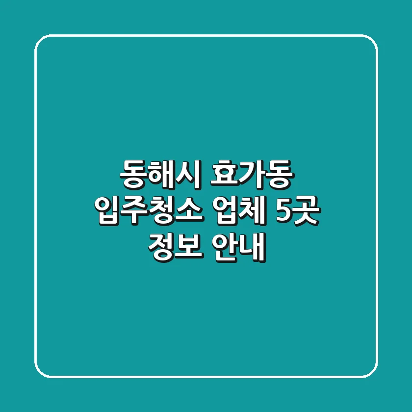 동해시 효가동 입주청소 업체 5곳 정보 안내