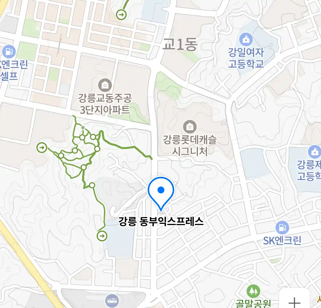 강릉 동부익스프레스 위치